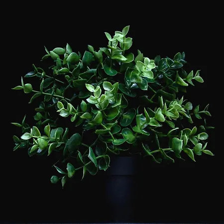 Lux Center Soltyka By Renters * 克拉科夫